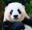 成功