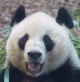 成绩