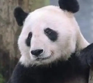 永巴