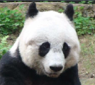 佳林