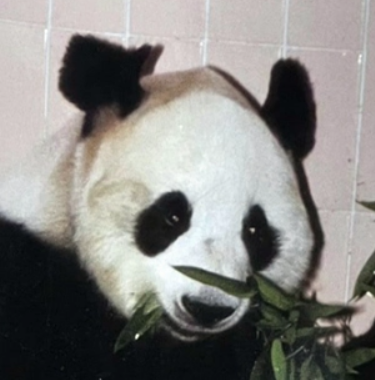 永永的头像
