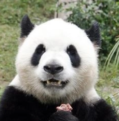 康康的头像