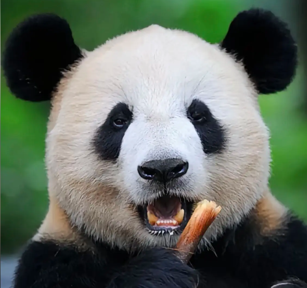灵灵的头像
