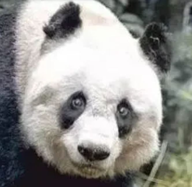 佳佳的头像